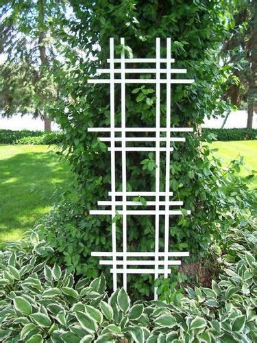 24 X 72 White Ladder Trellis At Menards Arbors Trellis Ladder