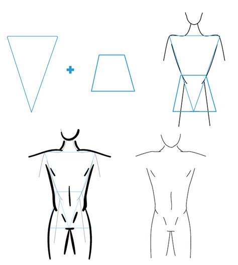 How To Draw Different Body Types For Males And Females