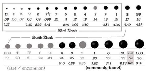 Shot is the payload of metal pellets contained in the shotgun shell. WHAT SHOTGUN LOAD SHOULD YOU USE FOR EACH HUNT? - The Classic Woodsman