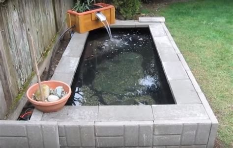This Video Shows Step By Step How To Build A Backyard Above Ground Pond