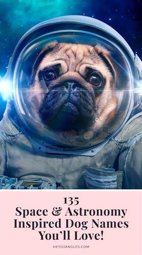 A Pug In An Astronauts Space Suit With The Caption Space And Astronomy