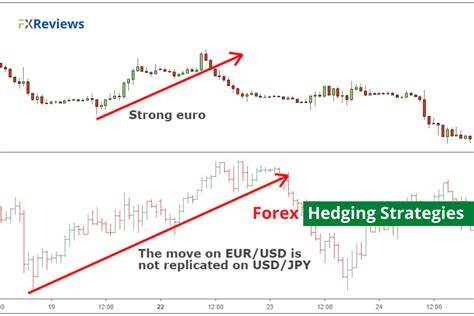 Top Forex Hedging Strategies And Its Dynamics Fxreviewsbest