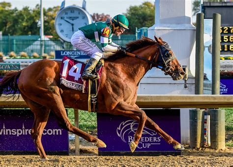 2019 Breeders' Cup Classic Betting Trends - TurfnSport.com