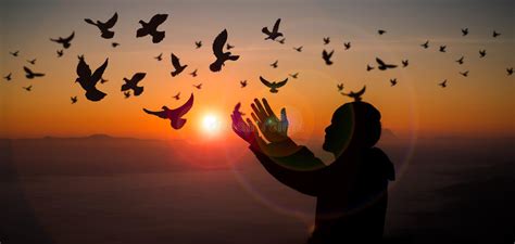 Concept Of Worship In Christianity Doves Fly Into Man Hands