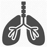 Respiratory Icon System Lungs Breathe Vector Lung