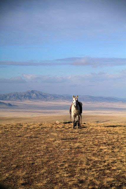 Explore The Vast Mongolian Steppes