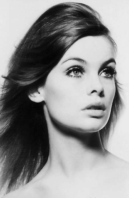 101 Best Images About David Bailey And Jean Shrimpton On