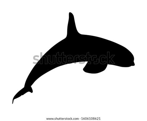 Killer Whale Jumping Out Water Vector Stock Vector Royalty Free