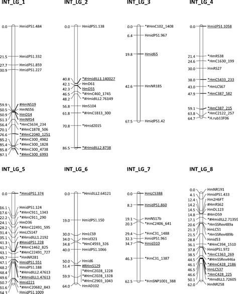 Integrated Sex Average Linkage Map Of The South African Abalone Download Scientific Diagram