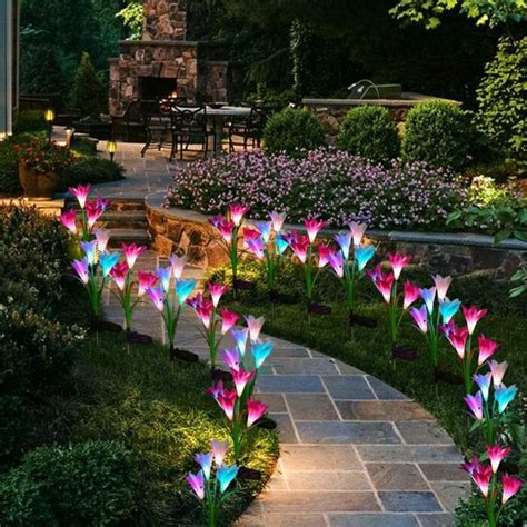 Withhold fertilization for the four to five week period. These Solar Powered Lily Flowers Are The Prettiest Way To ...