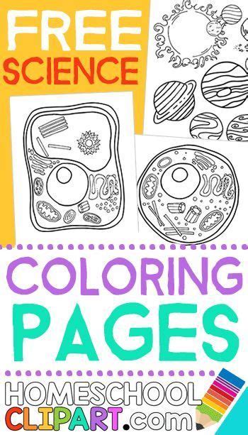 Some of the coloring page names are big kid physical science coloring by sunshine state. FREE Science Coloring Pages - Homeschool Giveaways