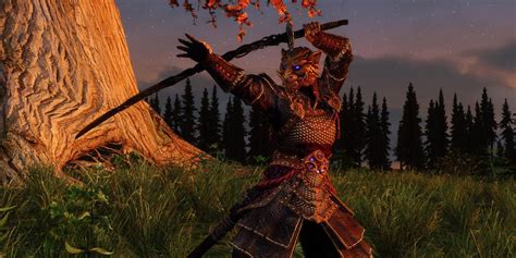 Skyrim Mod Gives You An Armour For Khajiit And You Dont Need Any