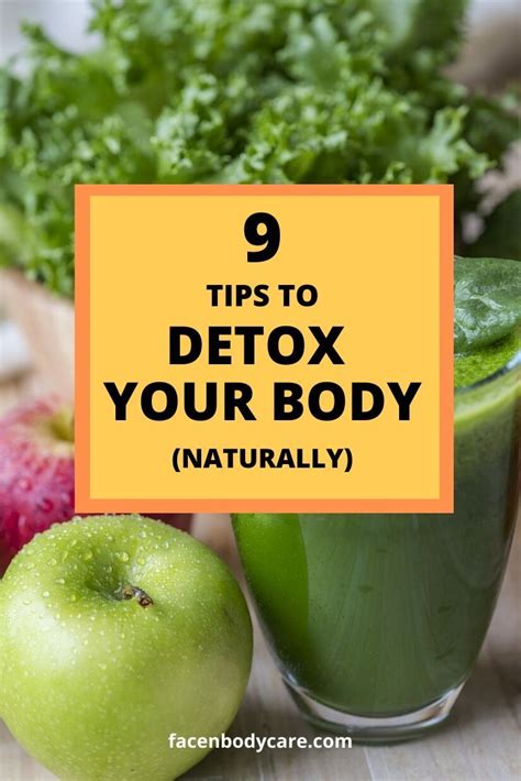 9 Tips On How To Detox Your Body Naturally Natural Body Detox Home