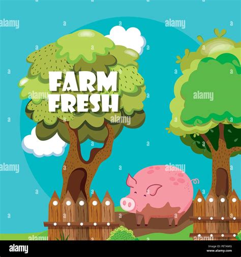 Farm Fresh Cartoons Stock Vector Image And Art Alamy