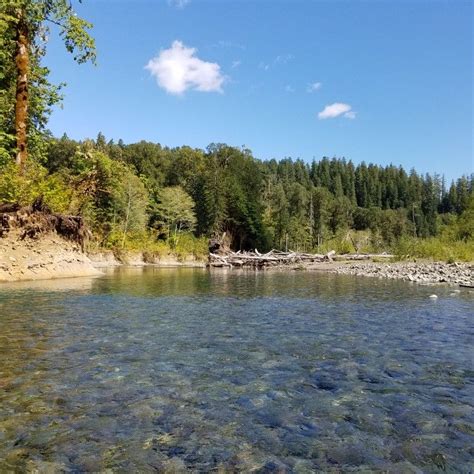 Lower South Fork Skokomish River Olympic National Park Olympic