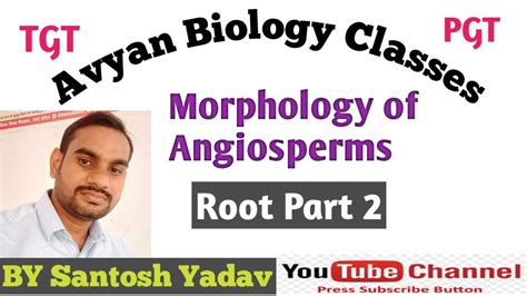 Biology For Tgt Pgt Lt Avyan Biology Classes Morphology Of