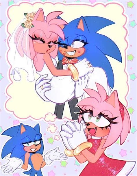 Pin By Paul Dunbar On Sonamy Sonic Sonic And Amy Amy The Hedgehog