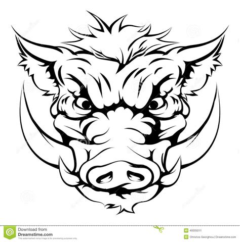 Boar Mascot Face Stock Vector Illustration Of Character 49305011