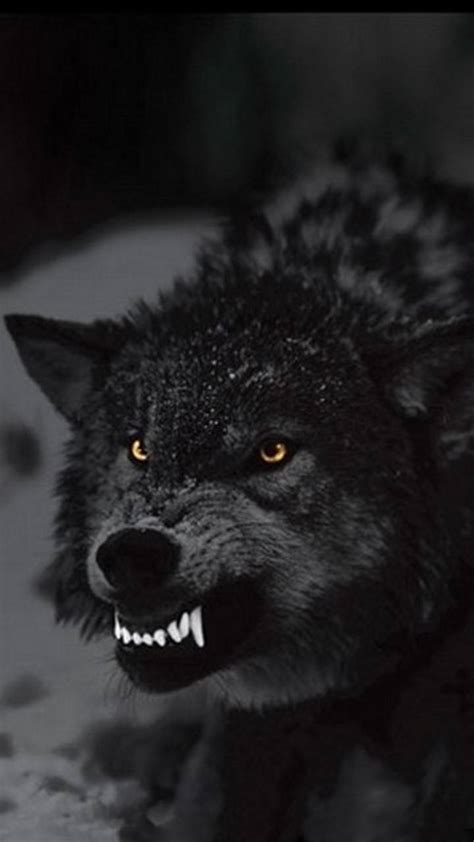 The natural alignment of the wolf is evil. angry wolf wallpaper by kokomil - 3e - Free on ZEDGE™