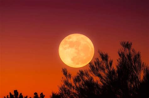 Harvest Moon Full Moon Sky Night Sunset Dusk Evening Glow