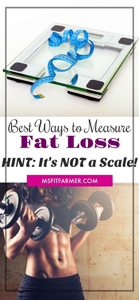 Body Fat Percentage Body Fat Measurement How To Calculate Fat