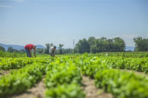 Natural Farming How To Start With Innovative Methods