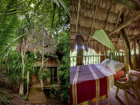Tree House Getaway Near San Ignacio Belize
