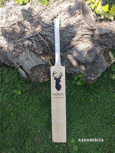 English Willow Cricket Bat Sporting Goods Ga4545486