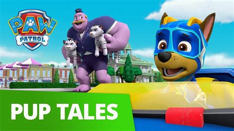 Paw Patrol Mighty Pups Pups Save A Mega Mayor Rescue Episode Paw