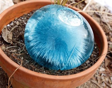 Frozen Water Balloon And Food Coloring Rpics