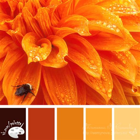Gallery.ru / Фото #3 - сочетание цвета оттенки желтого и оранжевого ...