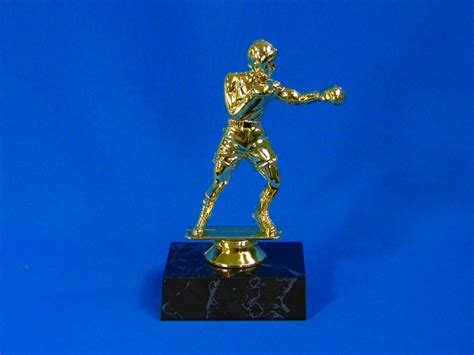 Boxing Trophy M Trophy Specialists And Engraving