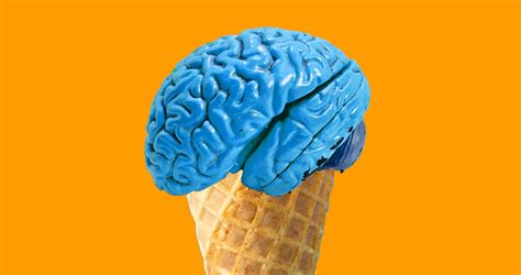 Summertime Headache The Brain Freeze Explained Donders Wonders
