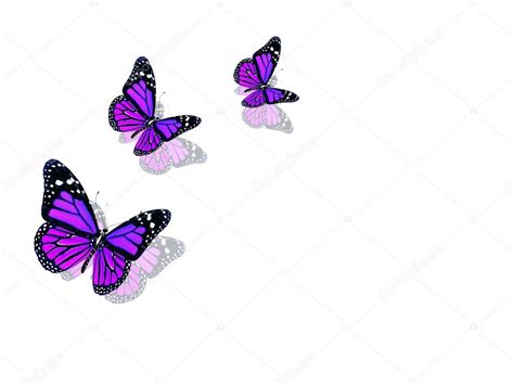 Beautiful Violet Butterflies — Stock Photo © Lovart 66647881