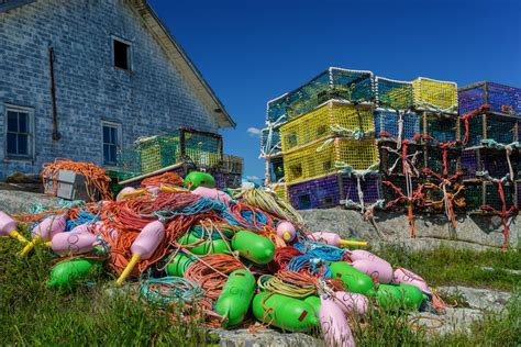 Calling All Lobster Lovers Nova Scotia Celebrates Lobster Season With