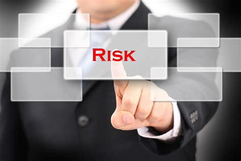 Project Risk Management Risk Manager Proconcepts Llc