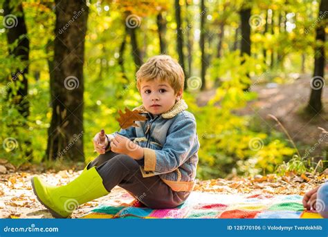 Child Love Hello Autumn Bye Summer Cute Boy With Autumn Leaves On