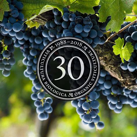 1988–2018 Thirty Years of Organic Viticulture and Winemaking . . . This
