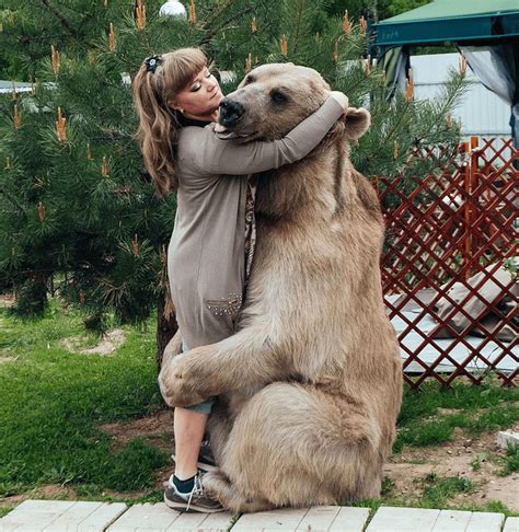 russian couple s heartwarming adoption of orphaned bear 23 years on and still living together