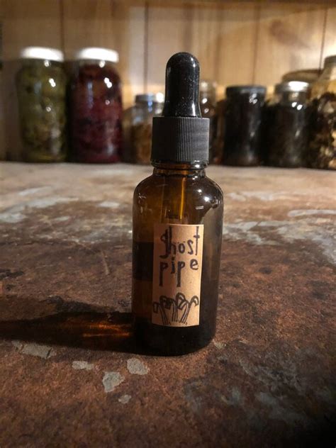 Ghost Pipe Tincture Wild Foraged Etsy