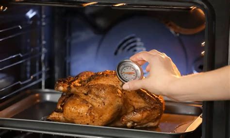 Where To Insert A Meat Thermometer In A Turkey Smart Livity