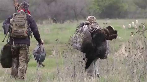 youth turkey hunt 2015 youtube