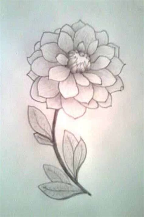 Beautiful Flowers Drawing Step By Step At Getdrawings Free Download