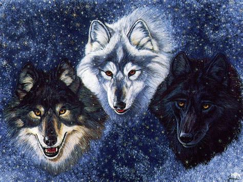 Fantasy Wallpaper Wolves Wolf Wallpaper Wolf Spirit Animal Wolf