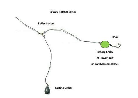 When hunting for trout, you will need to know how to set up your rod. Pin on Into the Wild