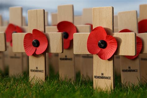 Remembrance Day Free Stock Photo Public Domain Pictures