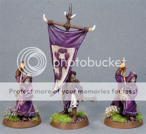 Huge Expertly Painted Lord Of The Rings Harad And Umbar Army Ebay
