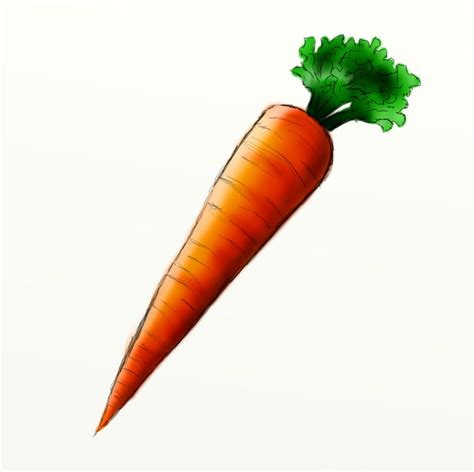 Carrot Clipart 7