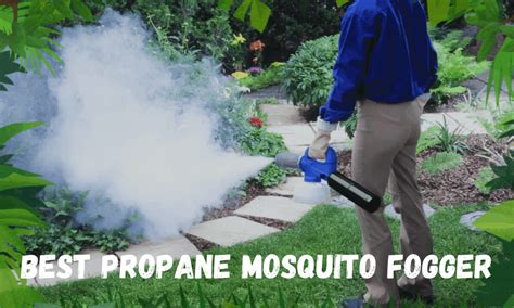 6 Best Propane Mosquito Fogger That Actually Work 2020