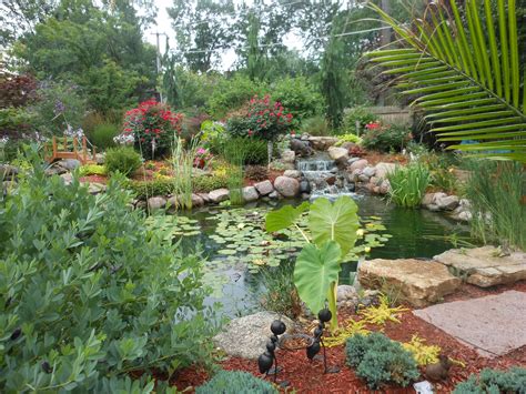 Large Backyard Pond With Beautiful Waterfalls Built By Artistic Design